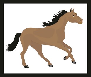 奔跑的棕色骏马