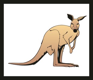 站立的卡通袋鼠形象