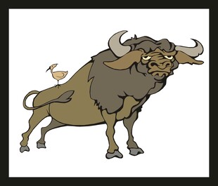 牛与小鸟相伴的温馨画面