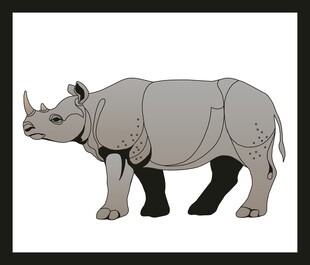 站立的犀牛插画