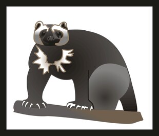 站立的蜜獾插画