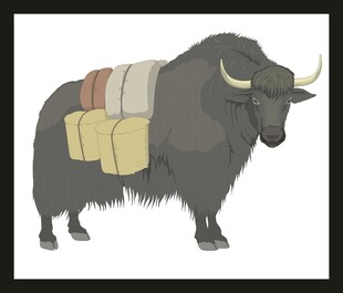 驮运货物的牦牛插画