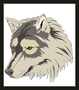 狼的头部插画