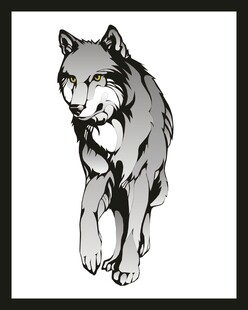 黑白风格独行狼插画