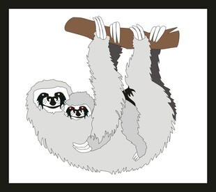 树懒母子倒挂树枝上