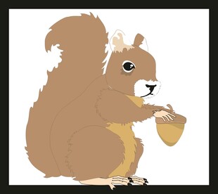 可爱松鼠捧坚果