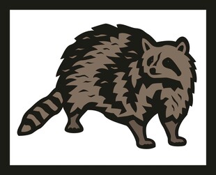 卡通形象的毛茸茸浣熊