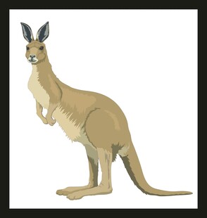 站立的袋鼠形象