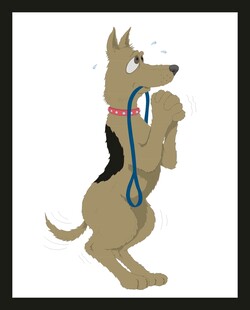 站立持绳的可爱狗狗