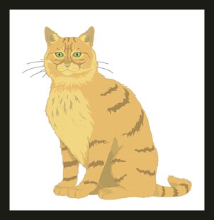 坐着的橘色条纹猫咪