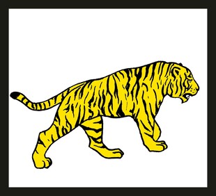 行走的黄色条纹老虎