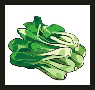 卡通青菜插画