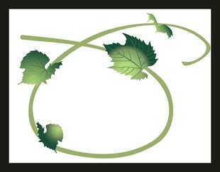 藤蔓绿叶装饰图案