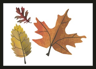 秋季多彩树叶插画