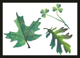 水彩绘植物叶片与三叶草