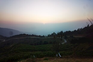 山间暮色中的宁静茶园