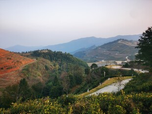 山间多彩景致 蜿蜒小路