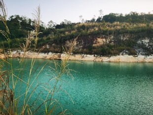 碧绿湖水旁的自然景致