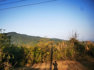 山间土路 自然风景独好