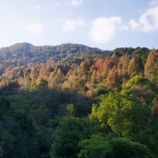 秋日山林斑斓美景