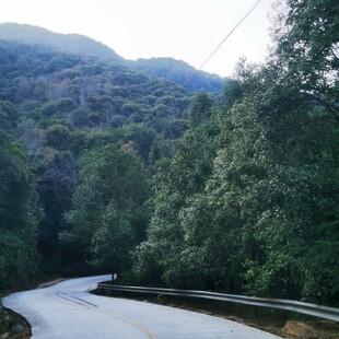 山间蜿蜒公路 绿意盎然