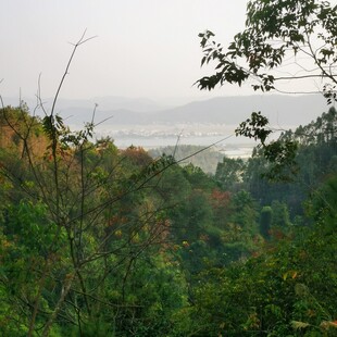 山林间远眺朦胧景致