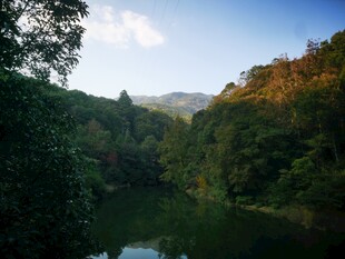 山林间的静谧湖水景色