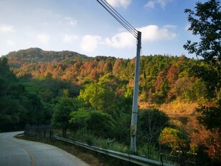 山间蜿蜒公路秋日美景