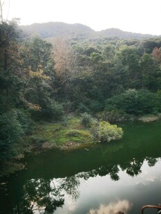 山间静谧绿水环绕美景