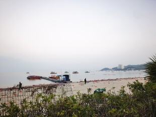 宁静海滩上的多彩船只