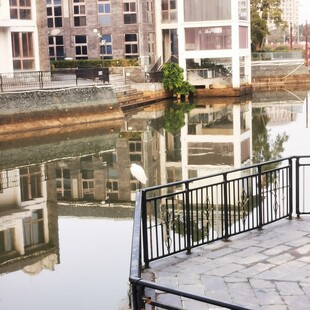 河畔小区景观倒影