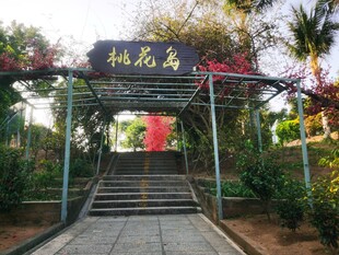 桃花岛入口景观