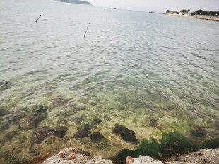 清澈见底的海边浅滩景象