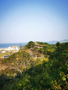 海边绿意盎然的美丽景致