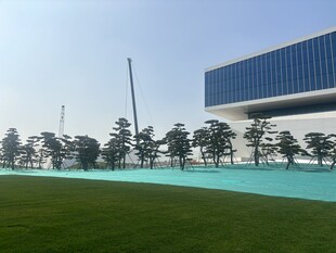 现代建筑旁的开阔绿地景观