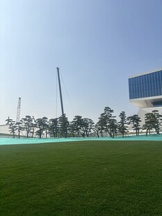 开阔绿茵场与现代建筑景观