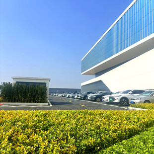 现代建筑前的多彩花卉景观