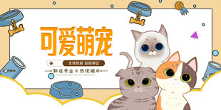 可爱萌宠大集合