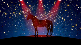 舞台上的骏马灯光秀