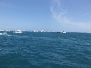 海上船只航行景象