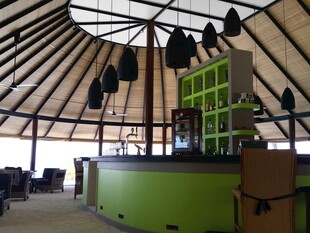 室内独特结构的绿色吧台