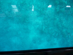 清澈的泳池水面