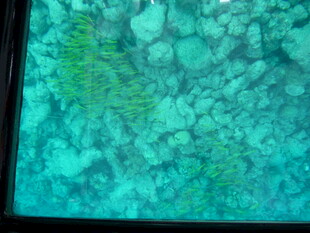 蓝绿色纹理的神秘画面