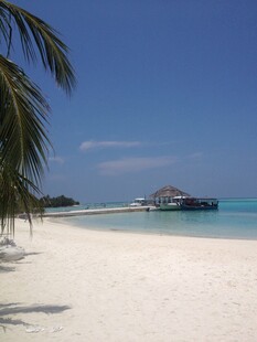 美丽的热带海滩风光