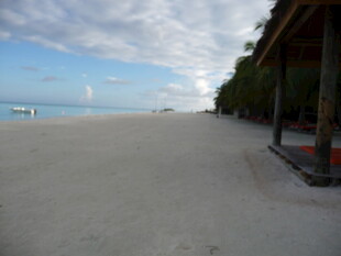 马尔代夫美丽沙滩风光