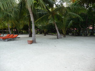 热带沙滩上的休闲场景