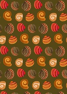 贝壳图案无缝背景