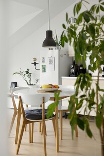 简约现代风室内绿植餐桌场景