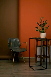 简约室内绿植桌椅搭配