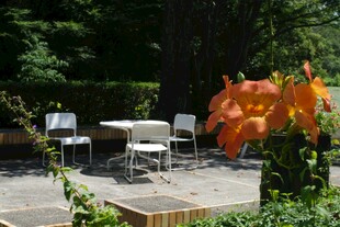 户外花园休闲桌椅与花卉